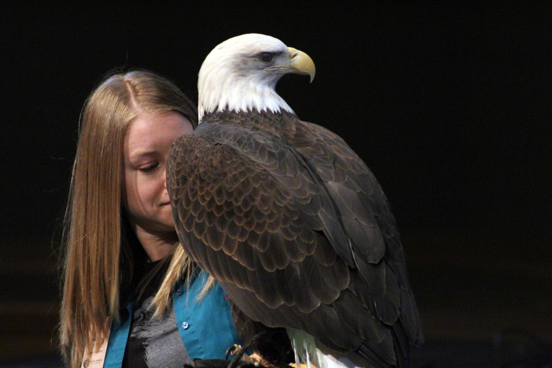 012320-sauk-news-eagle031.jpg